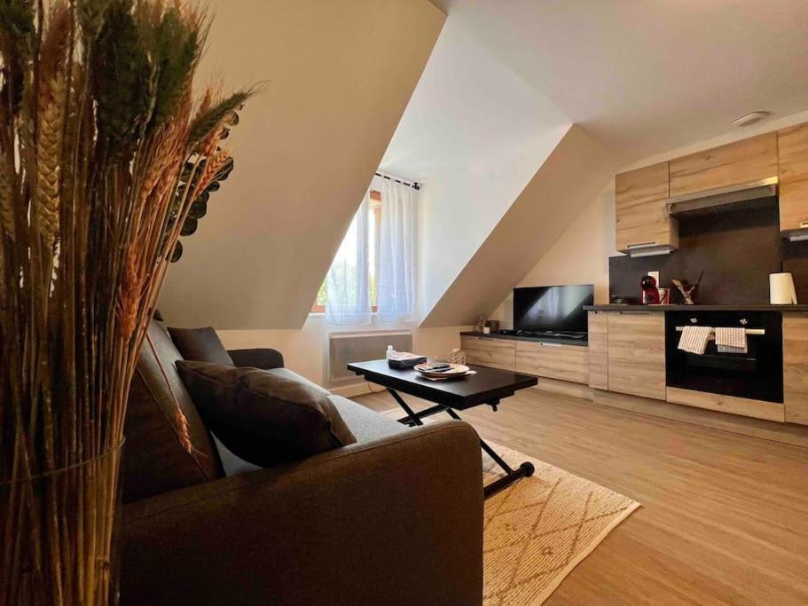 Appartement Centre-Ville / 6 Prsn / Bord Du Doubs / Au Pied De La Citadelle Besançon Exteriör bild