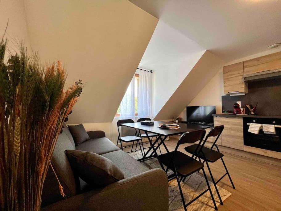 Appartement Centre-Ville / 6 Prsn / Bord Du Doubs / Au Pied De La Citadelle Besançon Exteriör bild